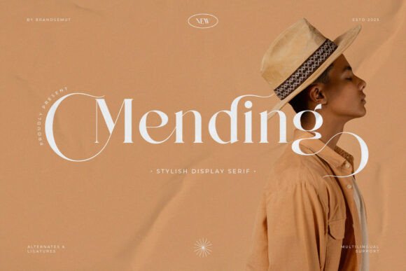 Choosing Mending: A Stylish Serif Font for Web Headers